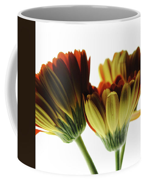Daisy Undersides - Mug