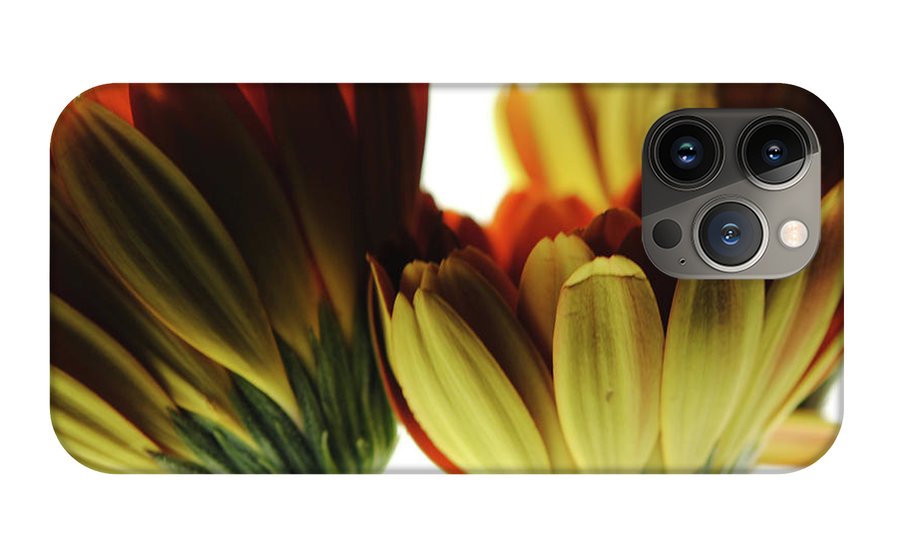 Daisy Undersides - Phone Case