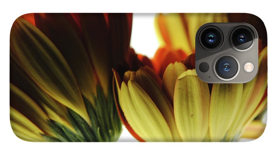 Daisy Undersides - Phone Case