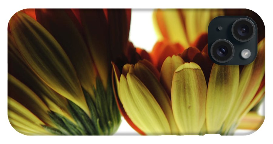 Daisy Undersides - Phone Case