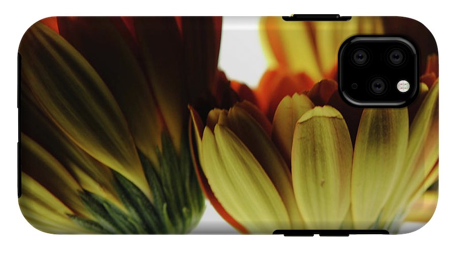 Daisy Undersides - Phone Case