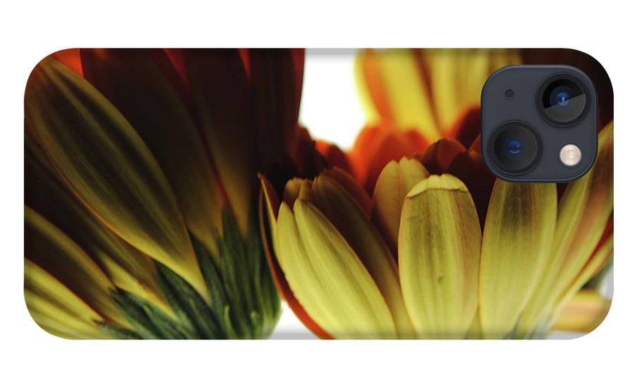 Daisy Undersides - Phone Case