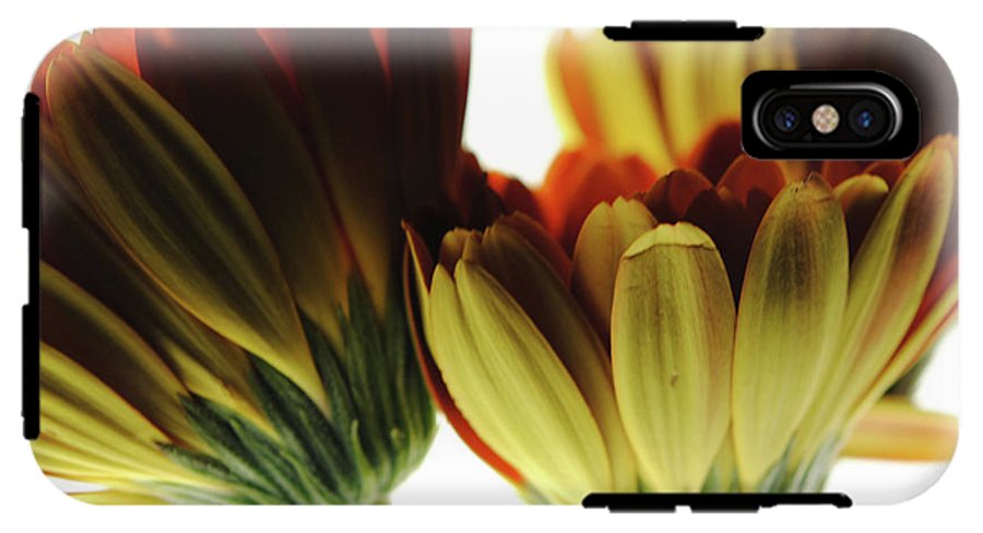 Daisy Undersides - Phone Case