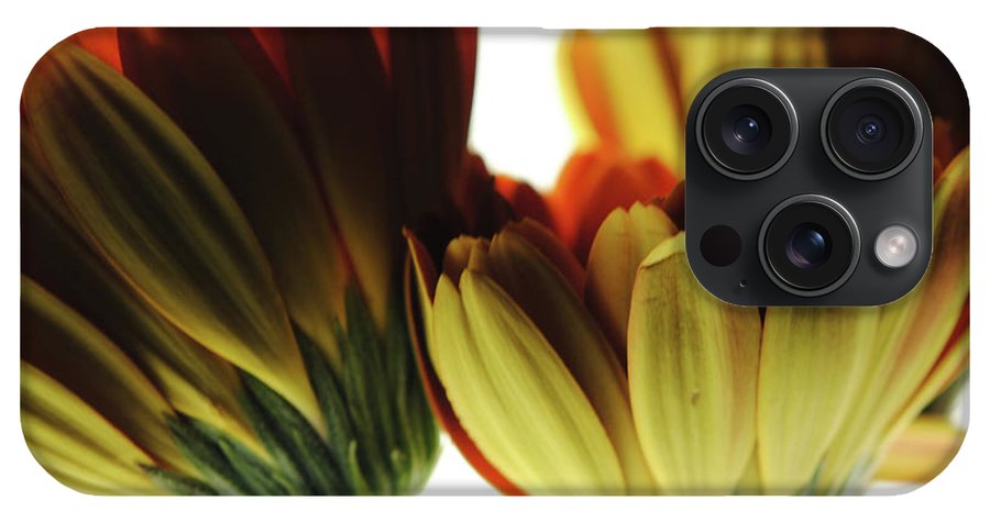 Daisy Undersides - Phone Case