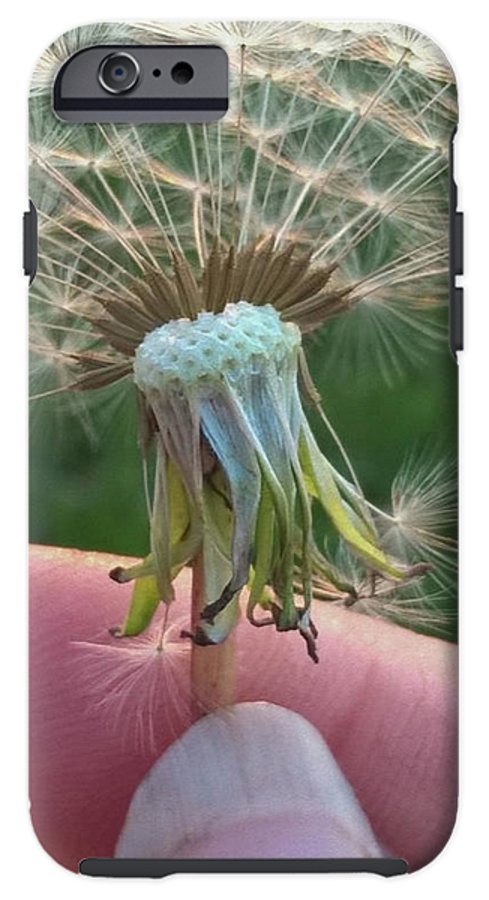 Dandelion Wish - Phone Case