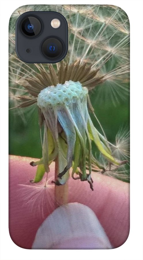 Dandelion Wish - Phone Case
