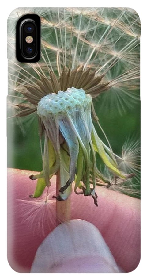 Dandelion Wish - Phone Case
