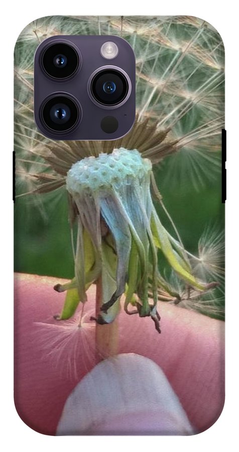 Dandelion Wish - Phone Case