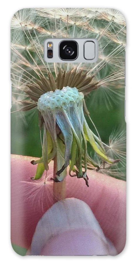 Dandelion Wish - Phone Case