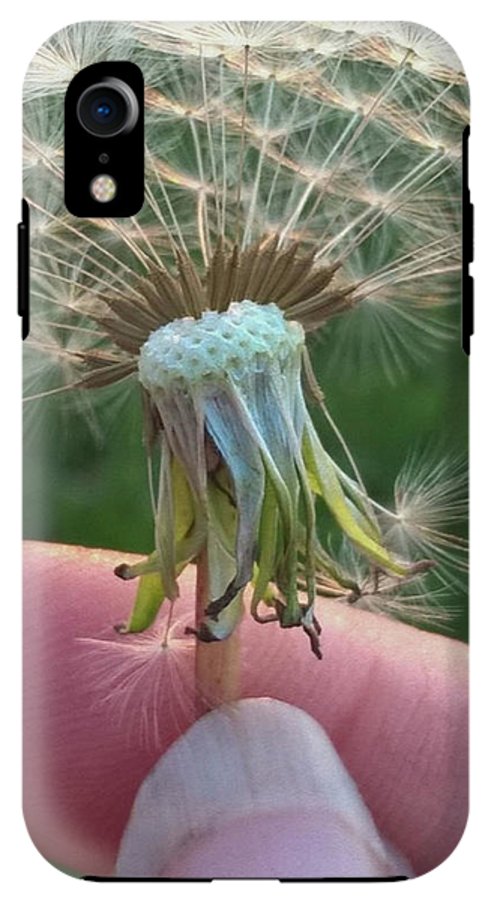 Dandelion Wish - Phone Case