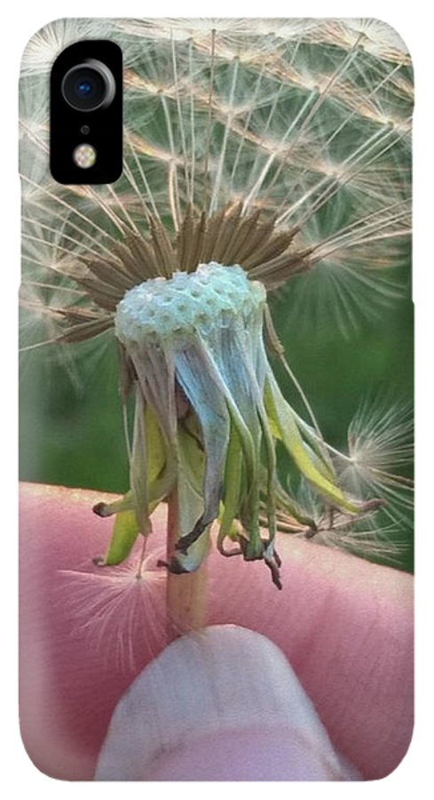 Dandelion Wish - Phone Case