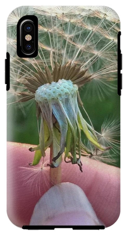 Dandelion Wish - Phone Case