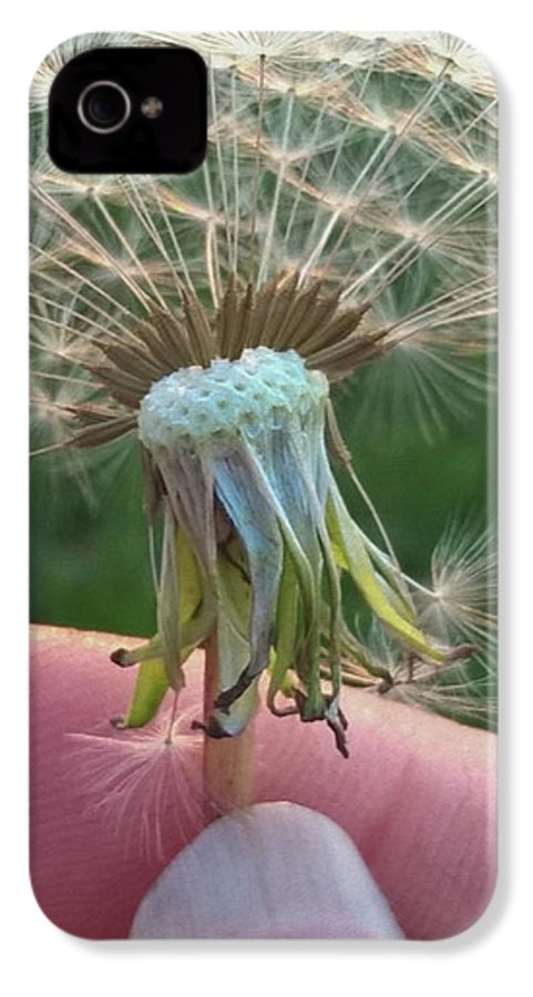 Dandelion Wish - Phone Case