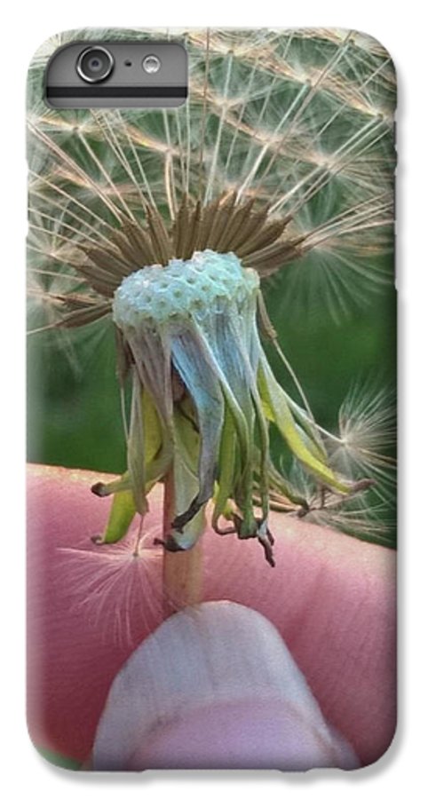 Dandelion Wish - Phone Case