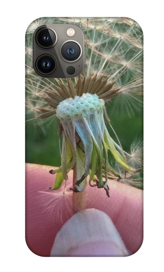 Dandelion Wish - Phone Case