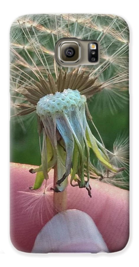 Dandelion Wish - Phone Case