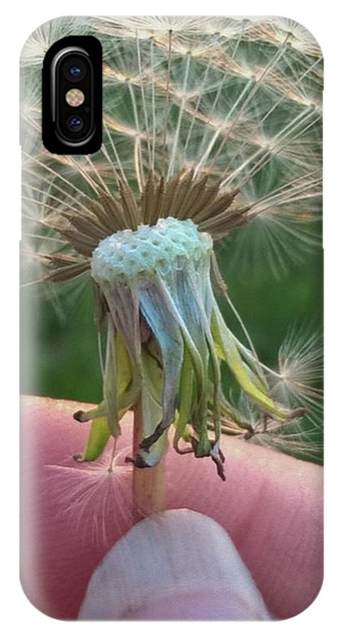 Dandelion Wish - Phone Case