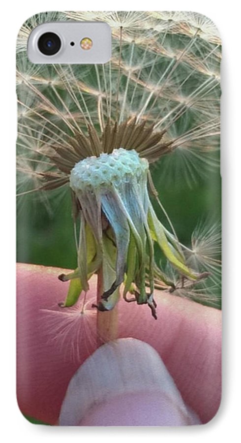 Dandelion Wish - Phone Case
