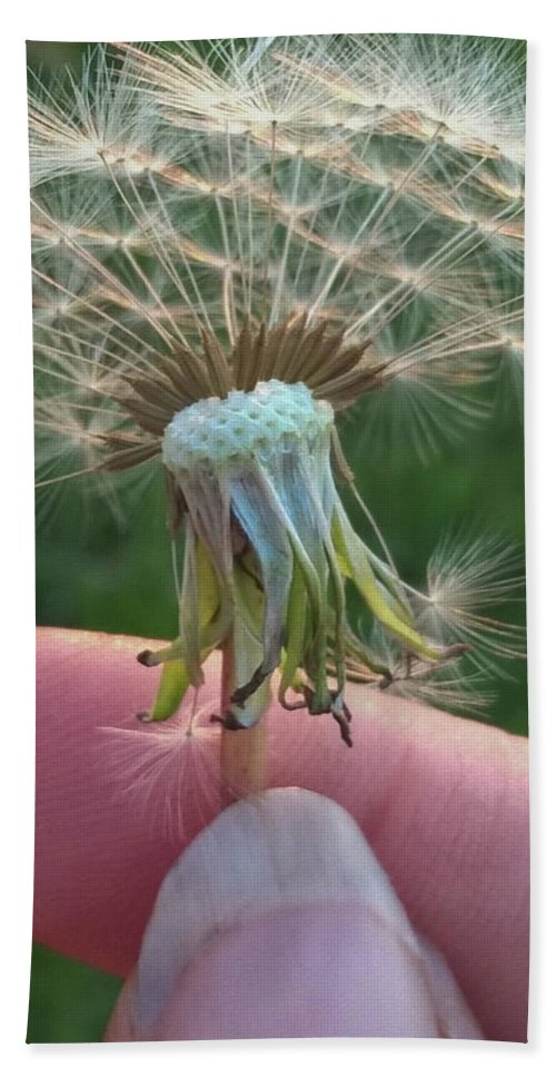 Dandelion Wish - Beach Towel