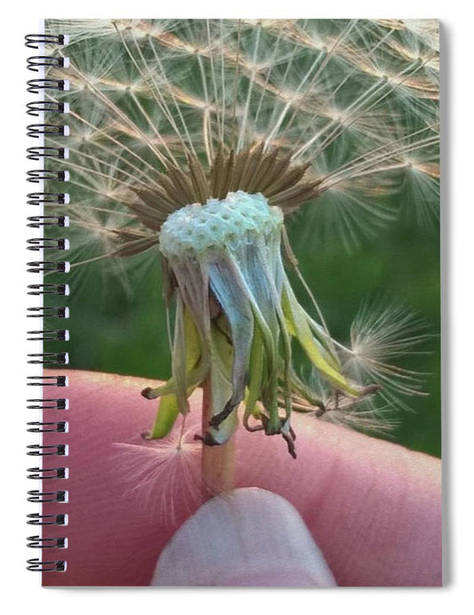 Dandelion Wish - Spiral Notebook