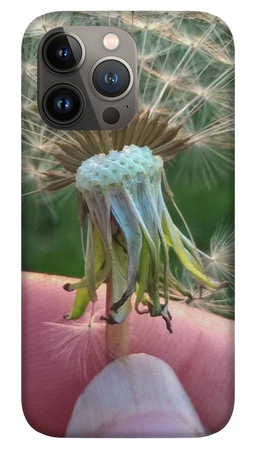 Dandelion Wish - Phone Case