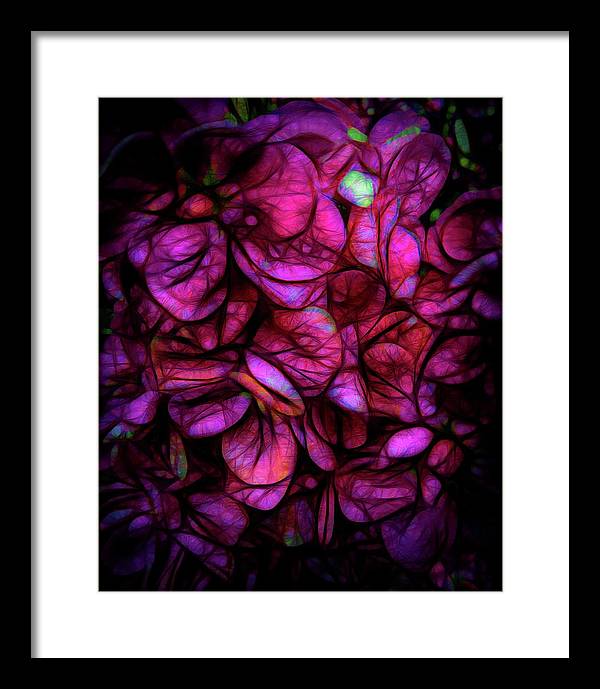 Dark Pink Flower Background - Framed Print