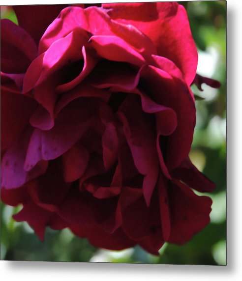 Dark Pink Flower - Metal Print