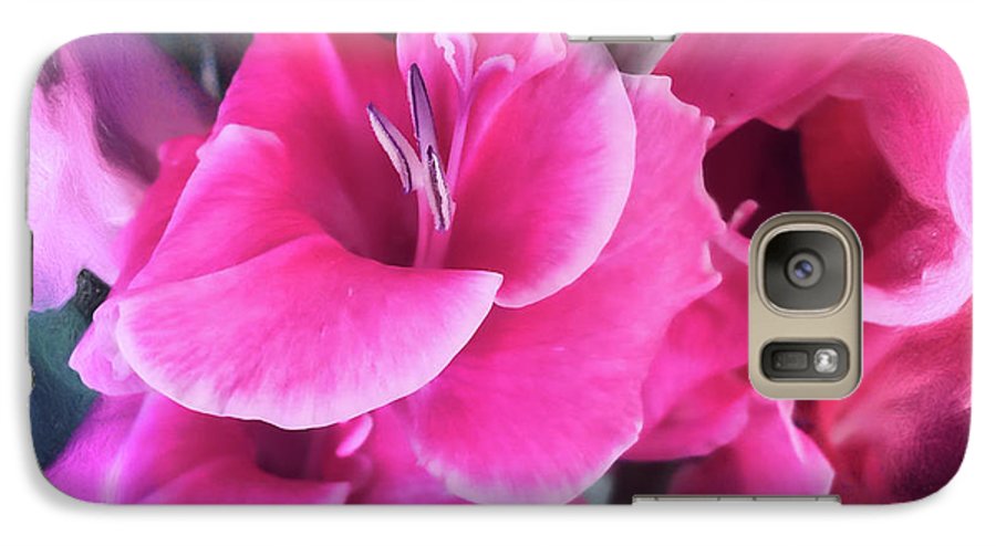 Dark Pink Gladiolas - Phone Case