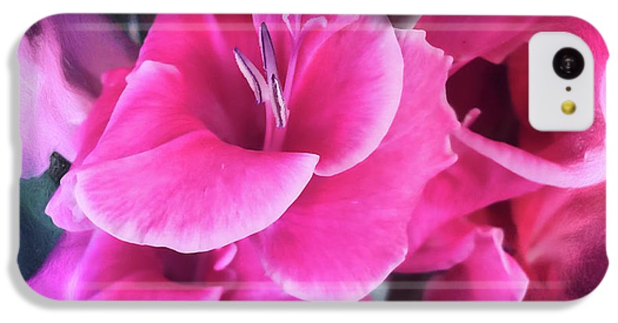 Dark Pink Gladiolas - Phone Case