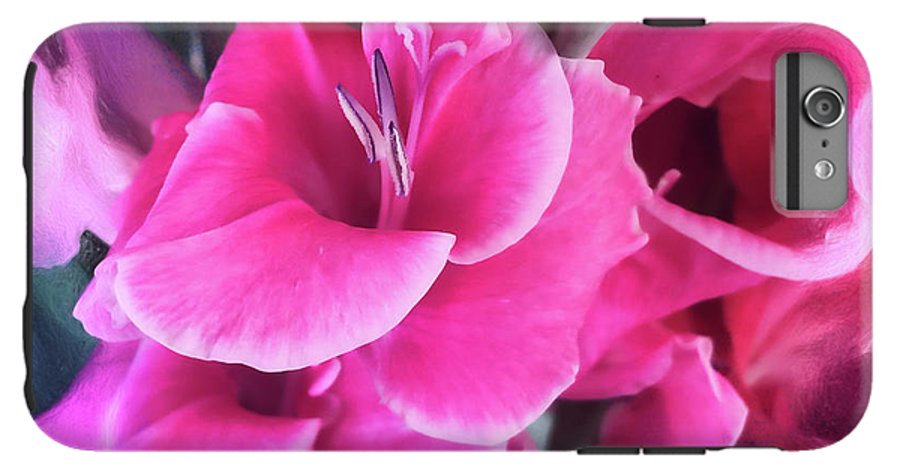Dark Pink Gladiolas - Phone Case
