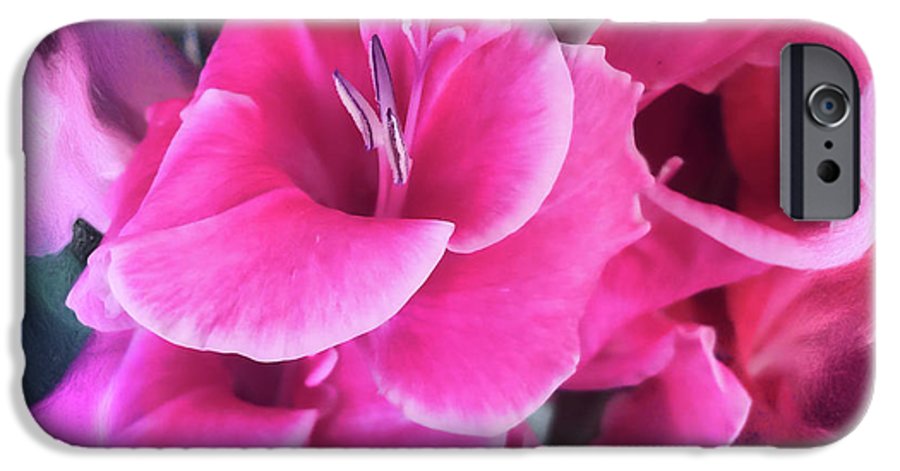 Dark Pink Gladiolas - Phone Case