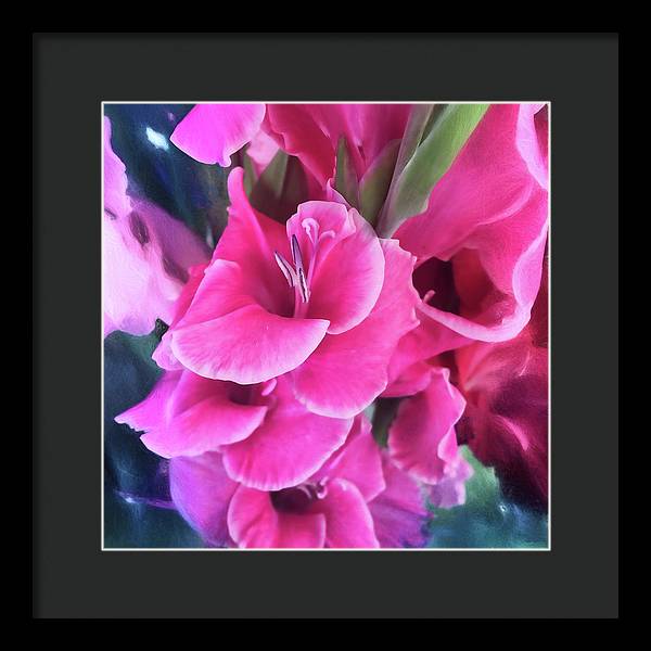 Dark Pink Gladiolas - Framed Print