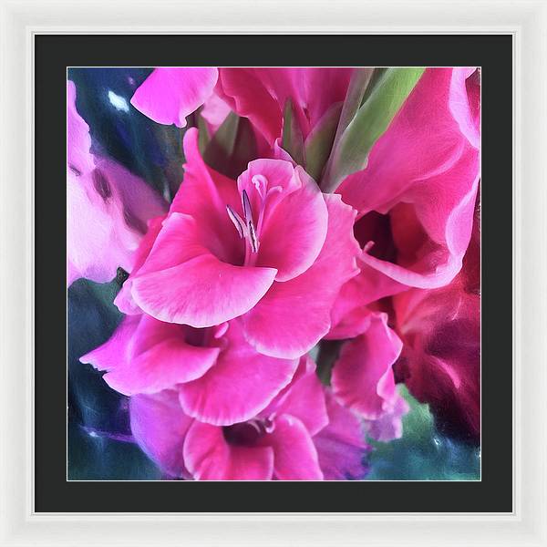 Dark Pink Gladiolas - Framed Print