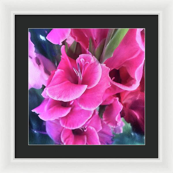 Dark Pink Gladiolas - Framed Print