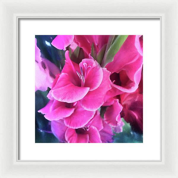 Dark Pink Gladiolas - Framed Print