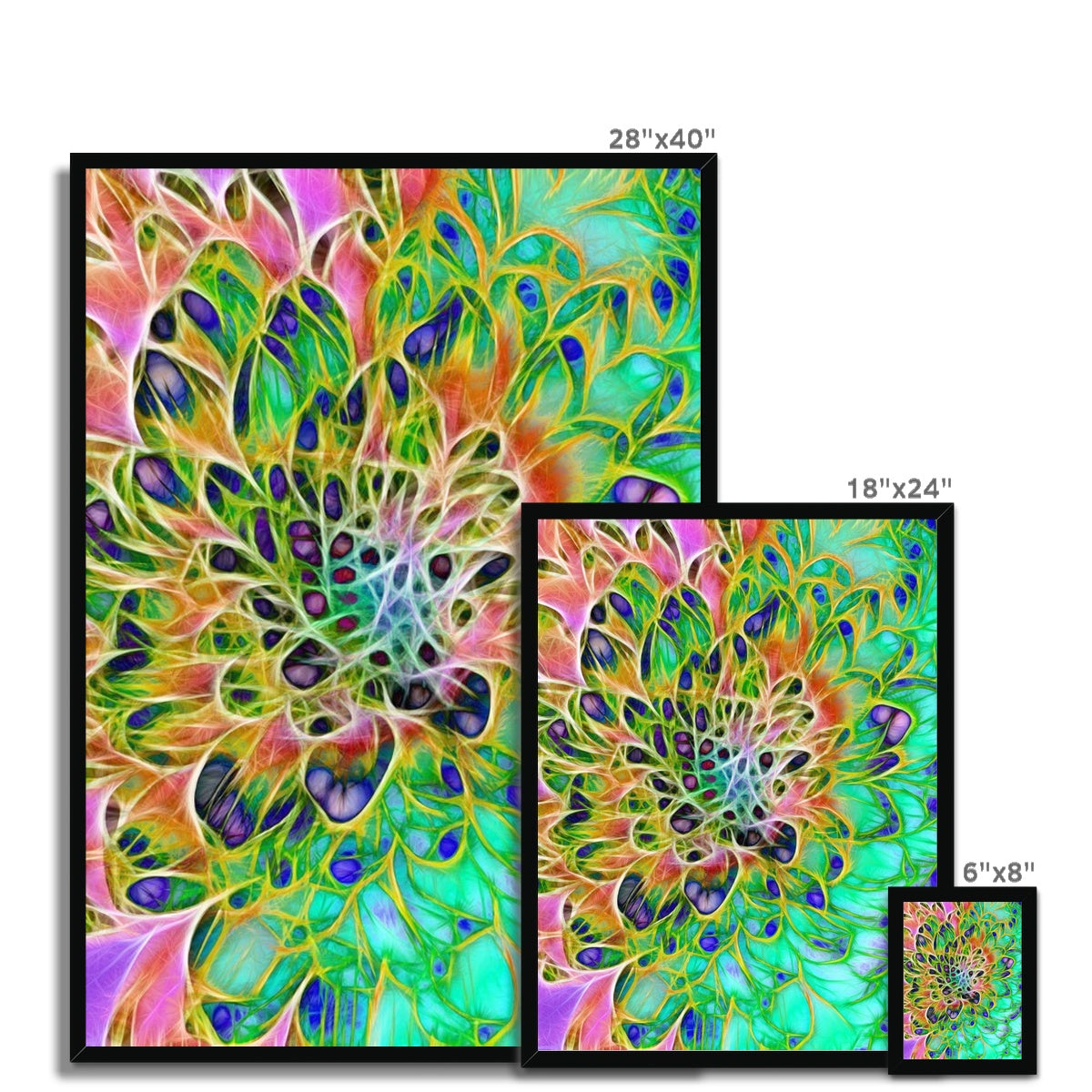 Abstract Peacock Chrysanthemum Framed Print