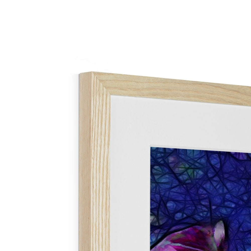 Abstract Pink Carnations Framed & Mounted Print