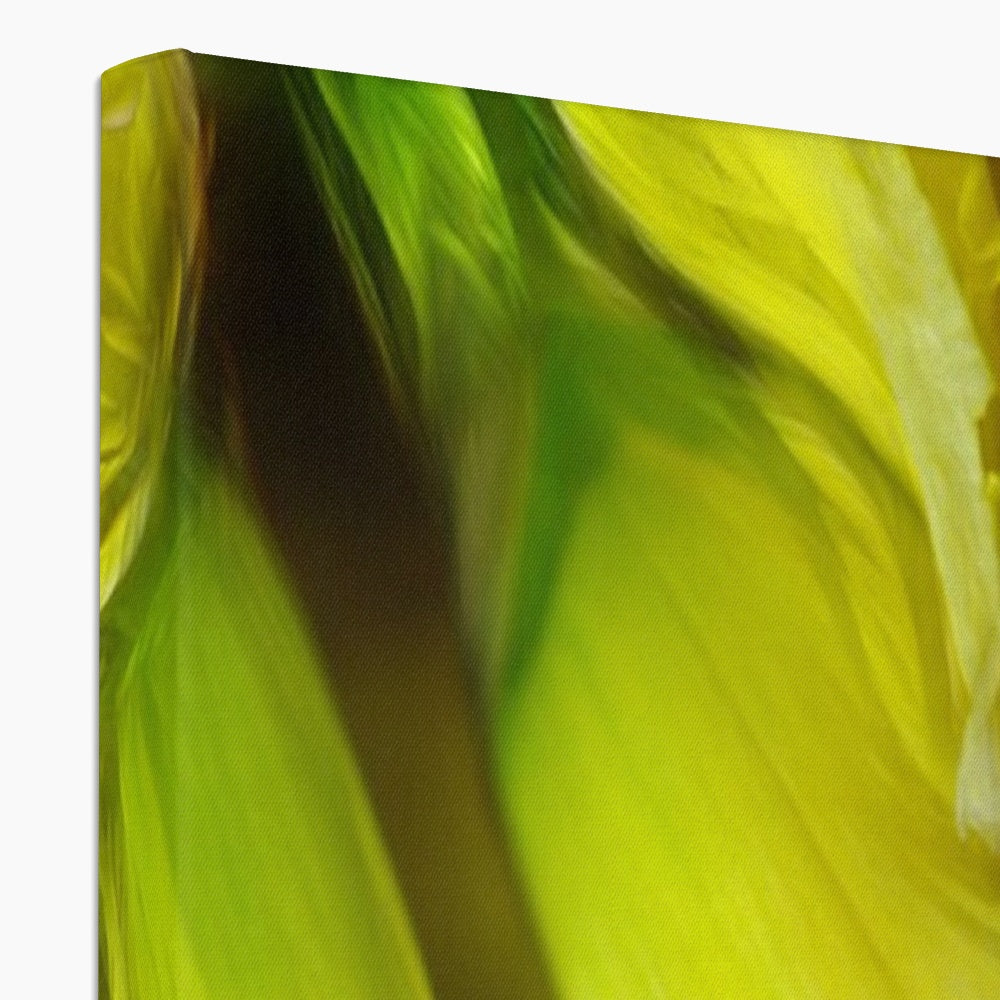 Abstract Yellow Daffodils Canvas