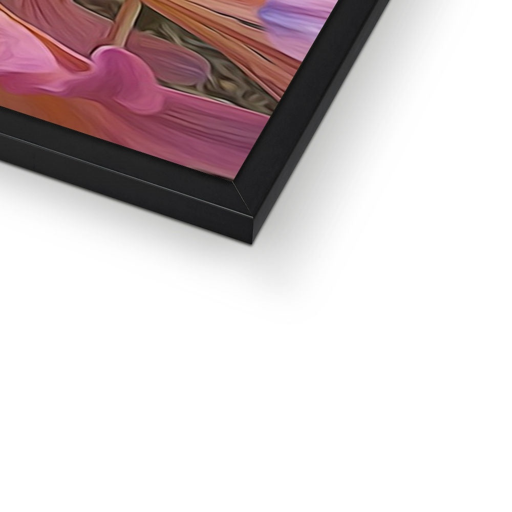 Pink Amaryllis Framed Print