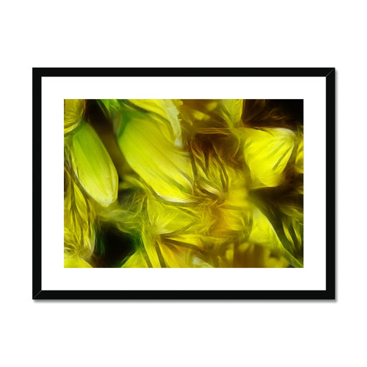 Abstract Yellow Daffodils Framed & Mounted Print