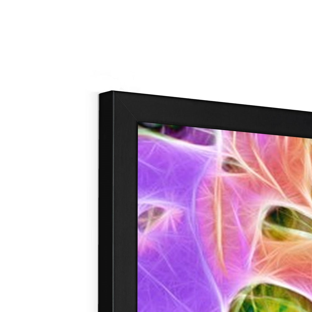 Abstract Peacock Chrysanthemum Framed Print