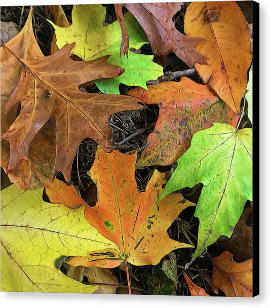 Early October Leaves 1 - Canvas Print