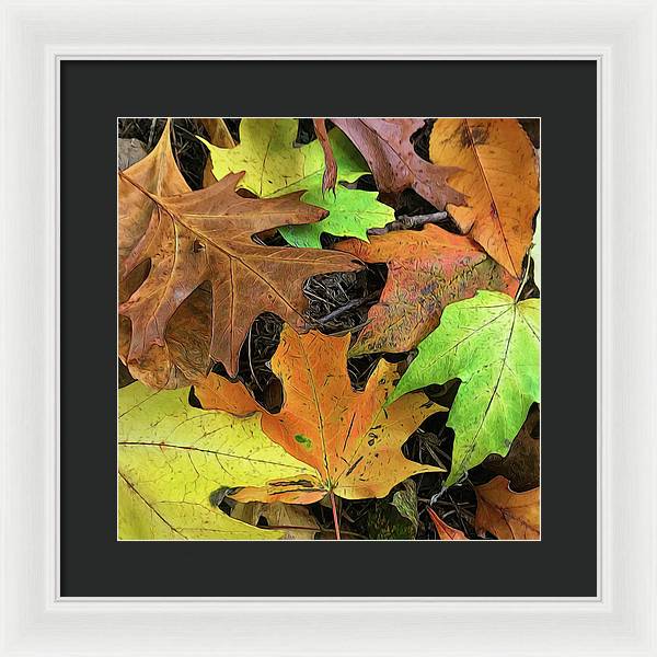 Early October Leaves 1 - Framed Print