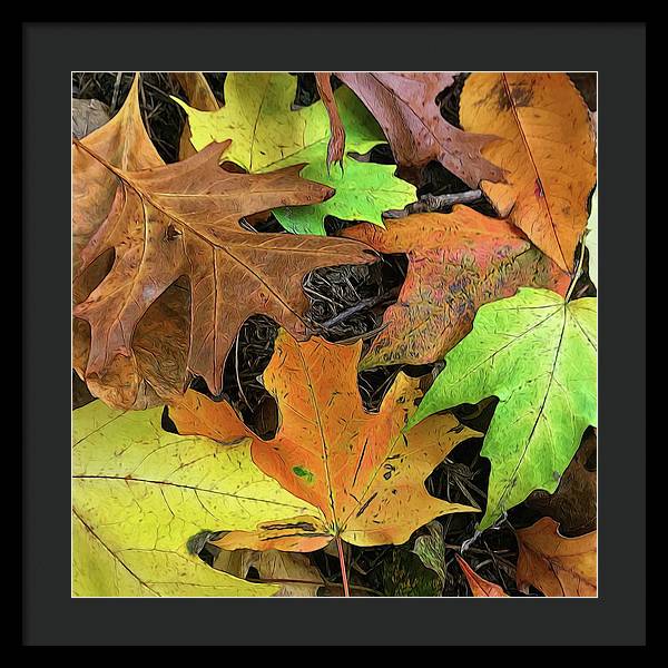 Early October Leaves 1 - Framed Print
