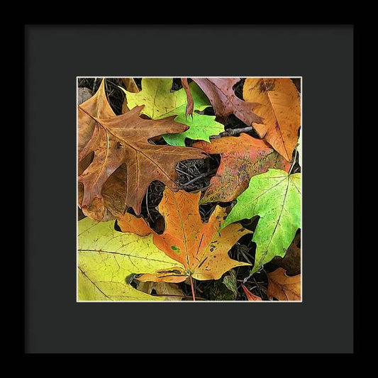 Early October Leaves 1 - Framed Print