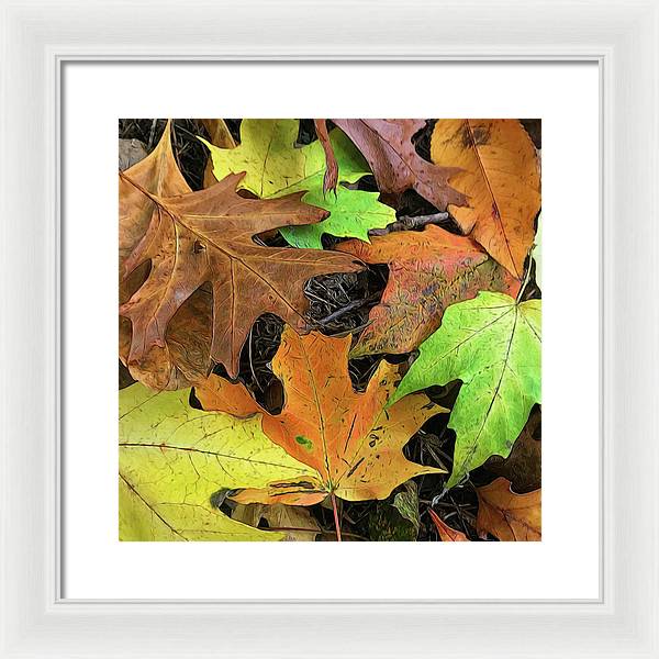 Early October Leaves 1 - Framed Print