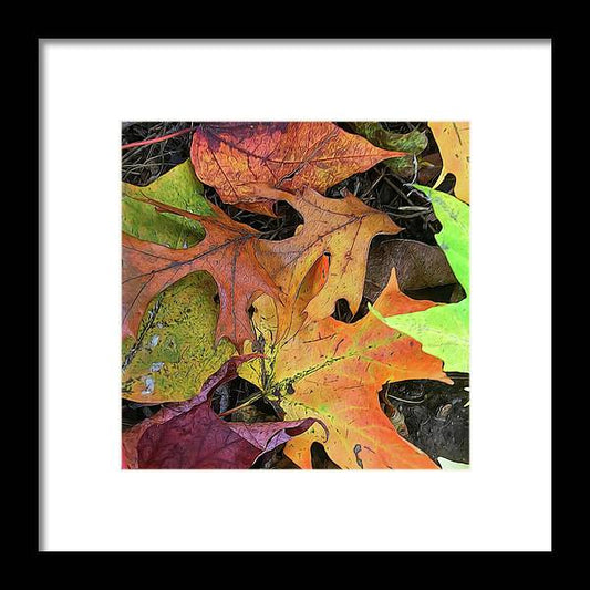 Early October Leaves 2 - Framed Print
