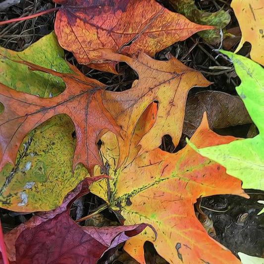Early October Leaves 2 - Art Print