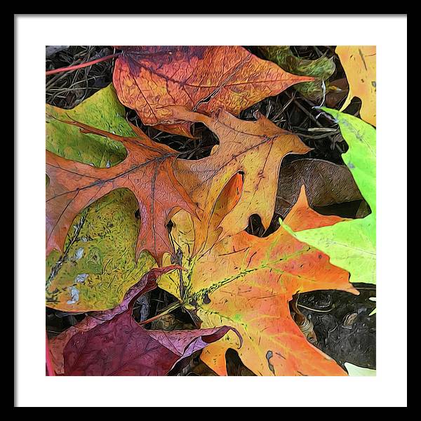 Early October Leaves 2 - Framed Print