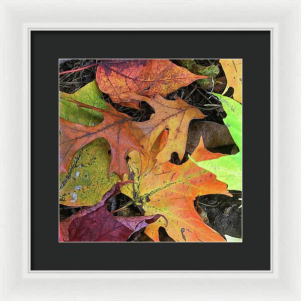 Early October Leaves 2 - Framed Print